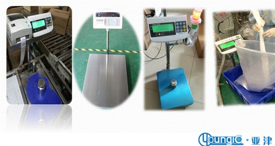 亞津電子臺(tái)秤系列