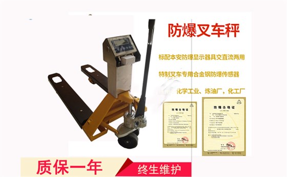 1噸防爆叉車秤-1噸防爆電子叉車秤技術(shù)參數(shù)