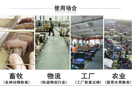 不銹鋼單層小地磅應(yīng)用范圍