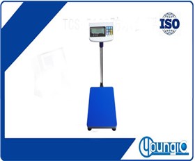 TCS-T410i計(jì)重電子臺(tái)秤