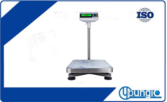 300KG-1000KG大量程臺(tái)秤_TCS-KS210電子臺(tái)秤