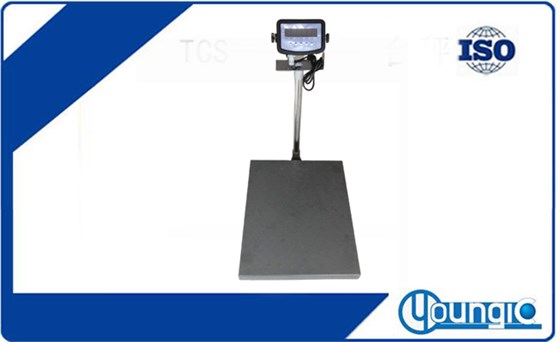 TCS-KS100-5060-計(jì)重電子臺(tái)秤300公斤