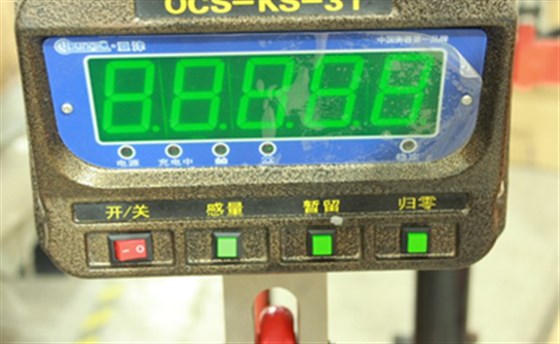 OCS-KS直視電子吊秤1