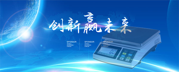 對電未來子秤開發(fā)的理想性分析