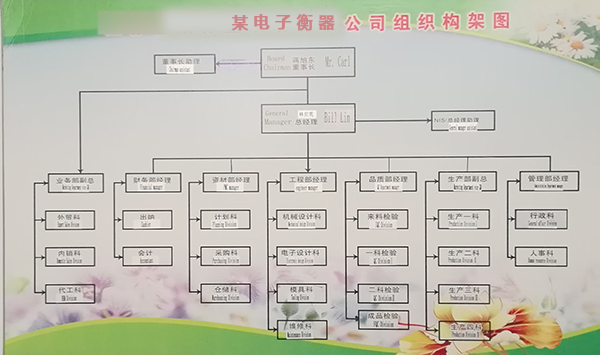 某電子衡器公司規(guī)劃組織構(gòu)架如何布局