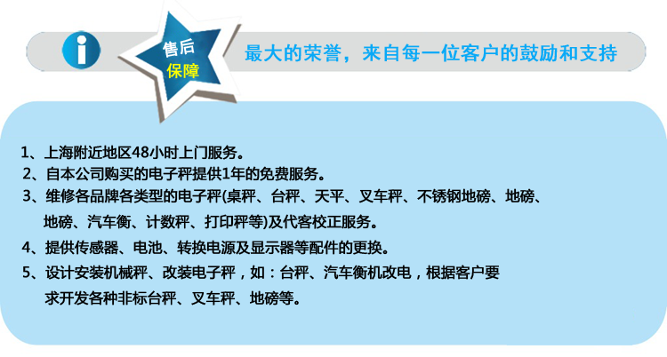 OCS-XZ無(wú)線打印電子吊鉤秤售后保障