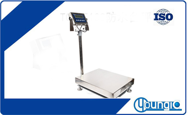 防爆臺(tái)秤 TCS-EX3100防爆電子臺(tái)秤